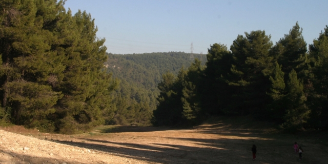 Πάρνηθα: Κινητοποίηση της Πυροσβεστικής για τον εντοπισμό δύο ατόμων