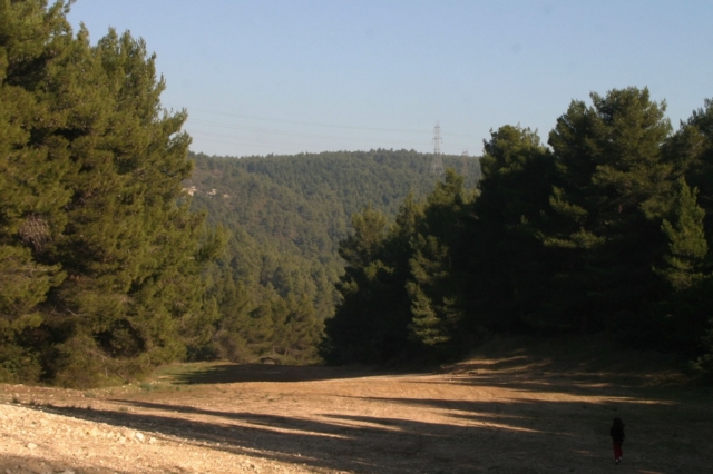Πάρνηθα: Κινητοποίηση της Πυροσβεστικής για τον εντοπισμό δύο ατόμων