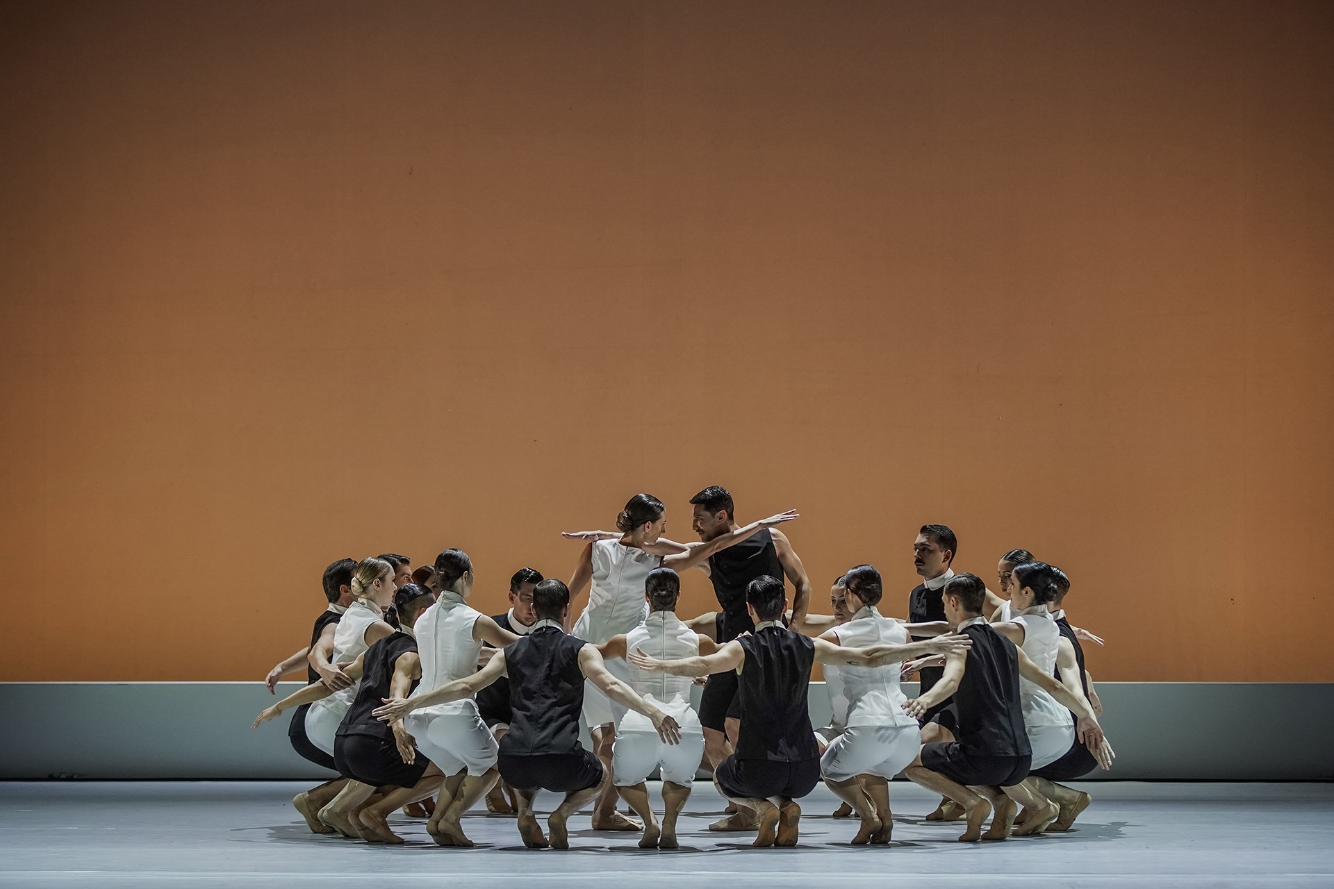 Κοππέλια- ΕΛΣ