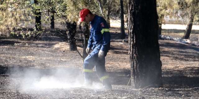 Πυροσβέστης επιχειρεί σε δασική φωτιά