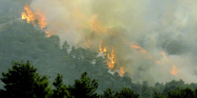 Φωτιά στην Κύπρο (φωτογραφία αρχείου)