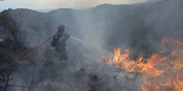 Στιγμιότυπο από τη φωτιά στο δάσος της Δαδιάς