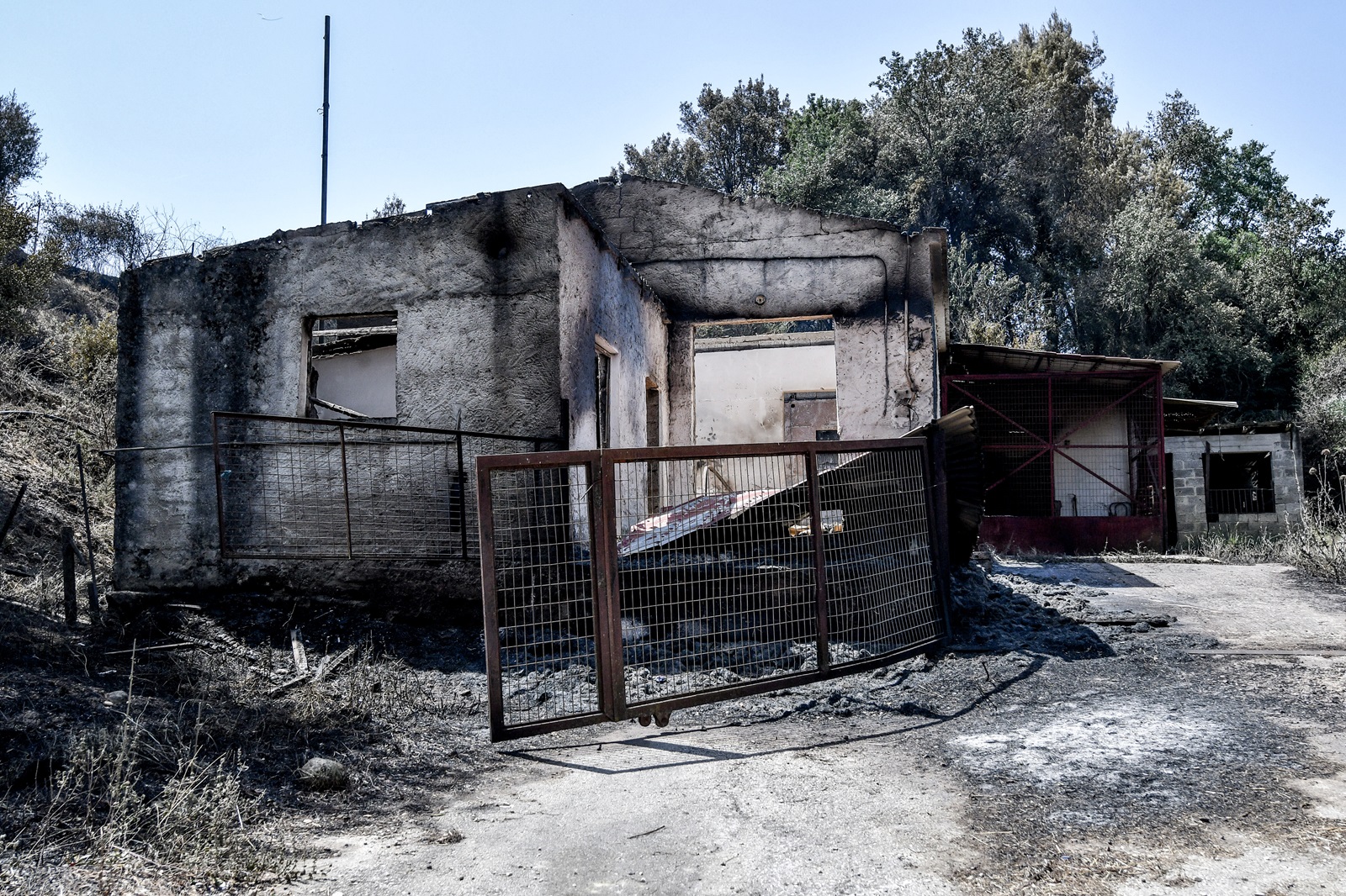 Καταστροφές από την πυρκαγιά στο χωριό Κάλφας Αχαΐας 