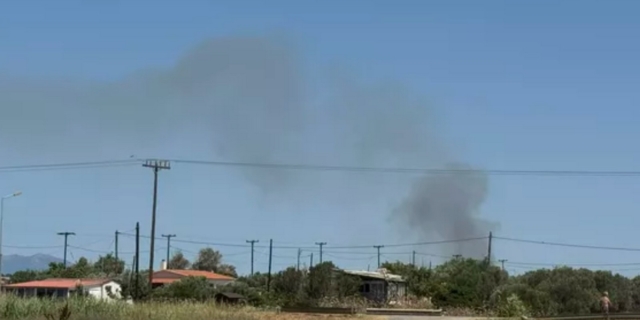 Ροδόπη: Αμεση επέμβαση σε φωτιά στην Ξυλαγανή