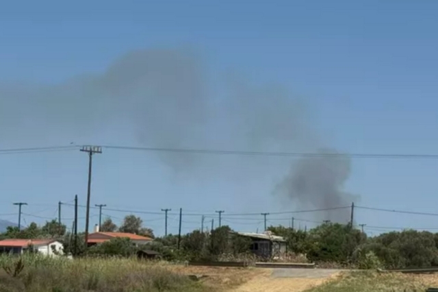 Ροδόπη: Αμεση επέμβαση σε φωτιά στην Ξυλαγανή