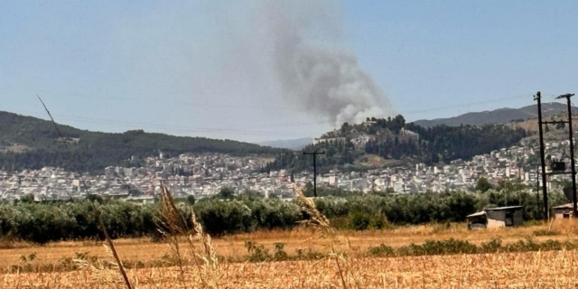 Λαμία: Μεγάλη φωτιά στην Καμηλόβρυση – Ισχυρές δυνάμεις στο σημείο