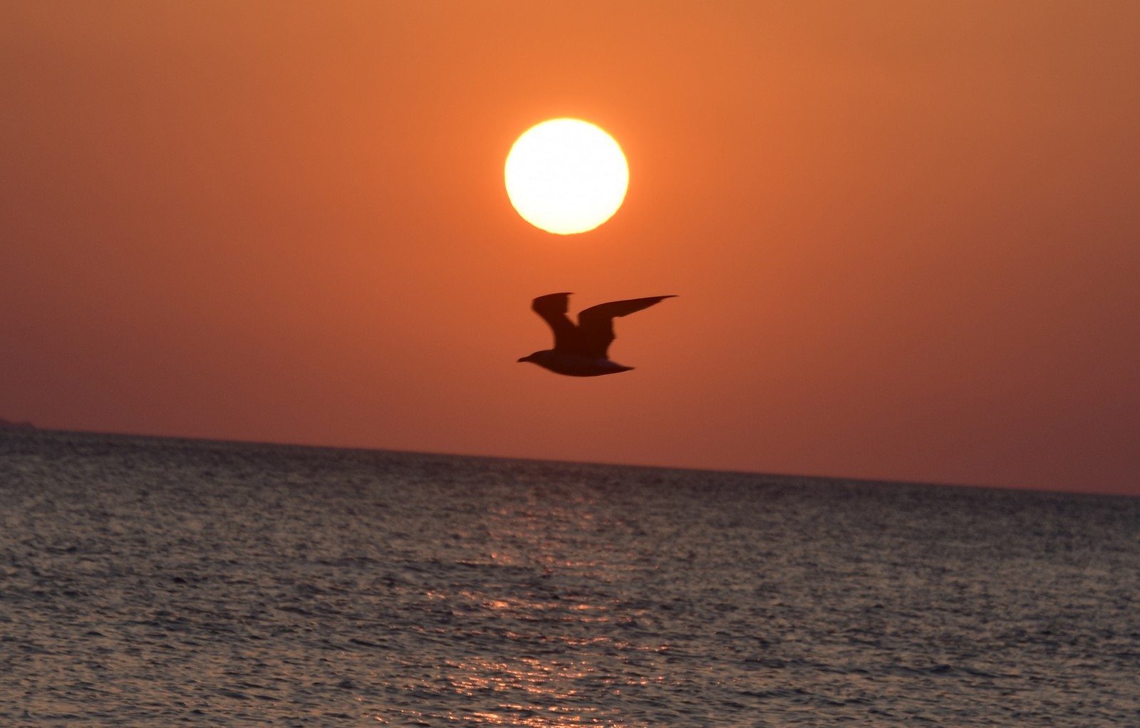 Ηλιοβασίλεμα στο Λεωνίδιο