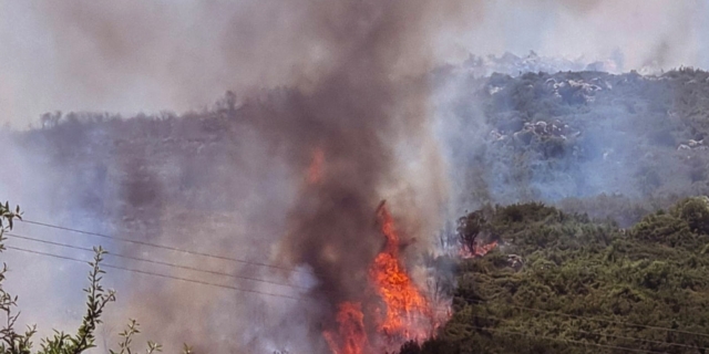 Τρεις συλλήψεις για πυρκαγιές σε Νέα Σμύρνη, Σύρο και Δράμα