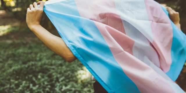 Σημαία τρανς ορατότητας