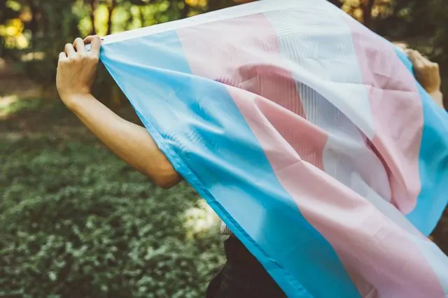 Σημαία τρανς ορατότητας