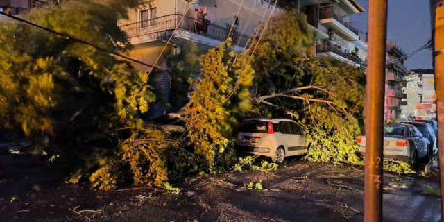 Βέροια: Ξαφνική κακοκαιρία ξερίζωσε 15 δέντρα – Χωρίς ρεύμα η μισή πόλη