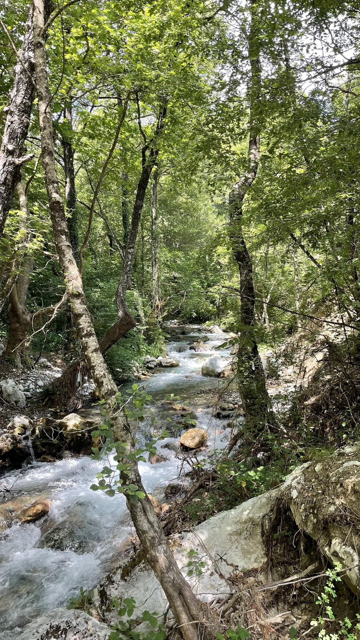 Sarantaporos Science Week