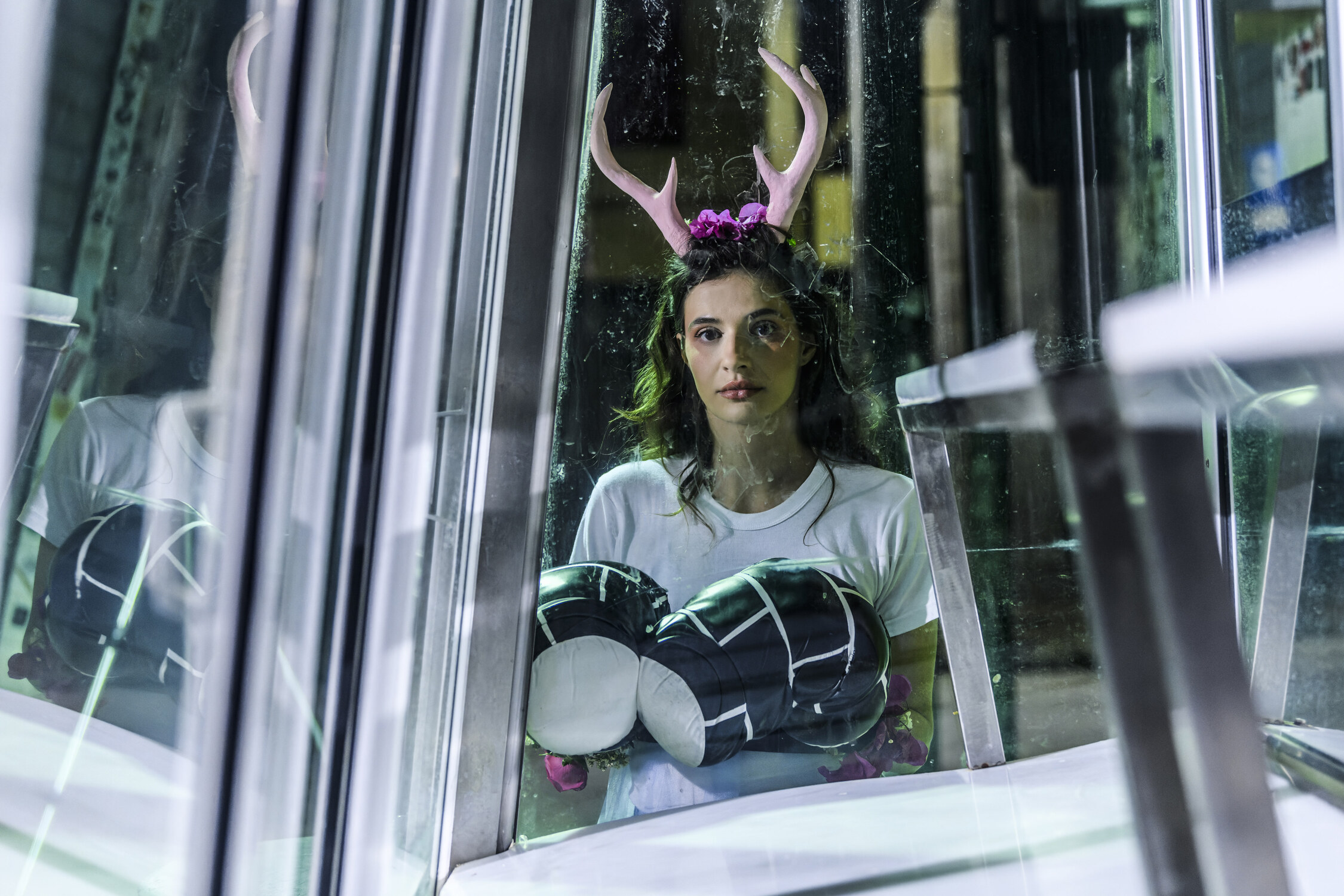 Ιφιγένεια/Βορά