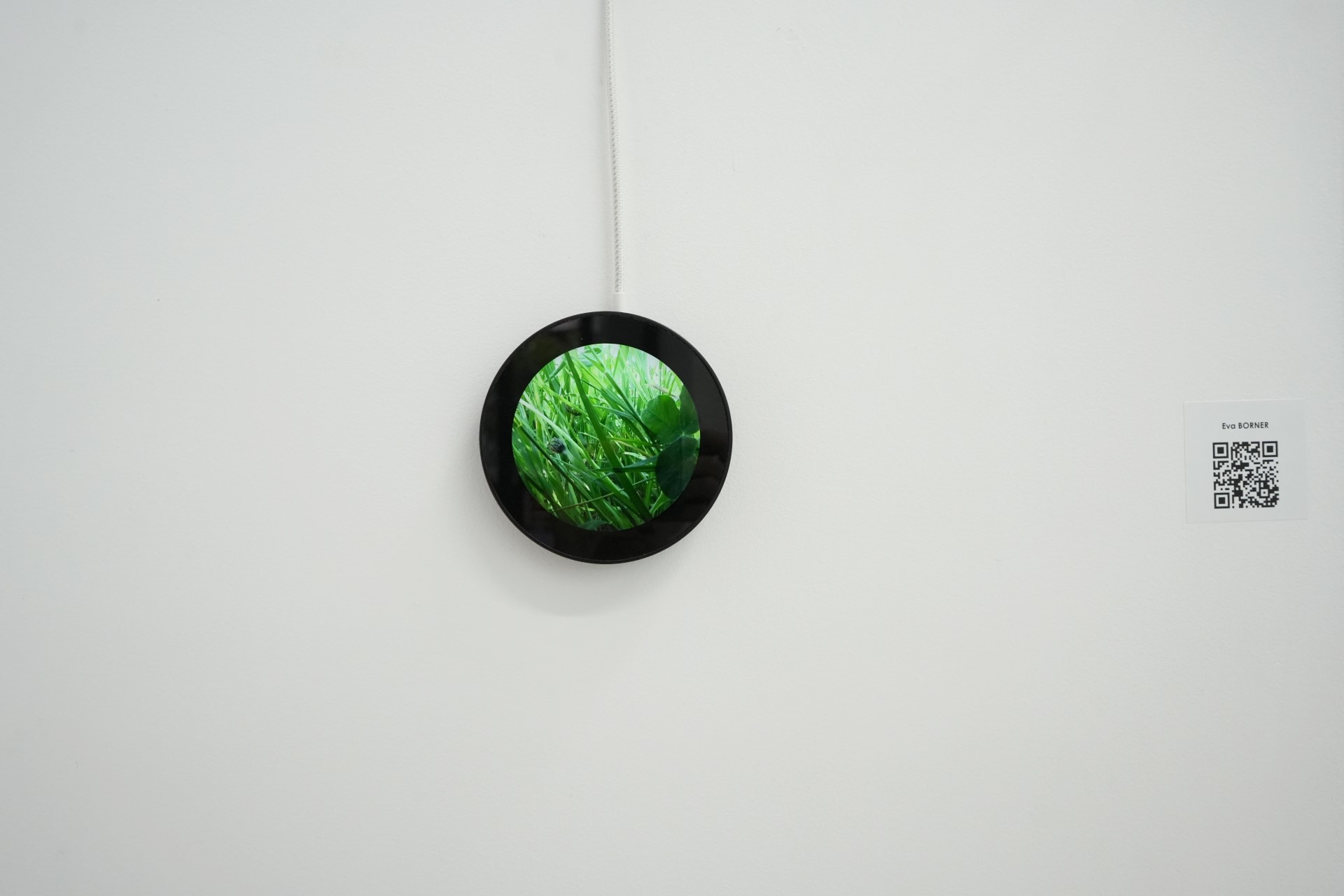 Eva Borner Video round monitor