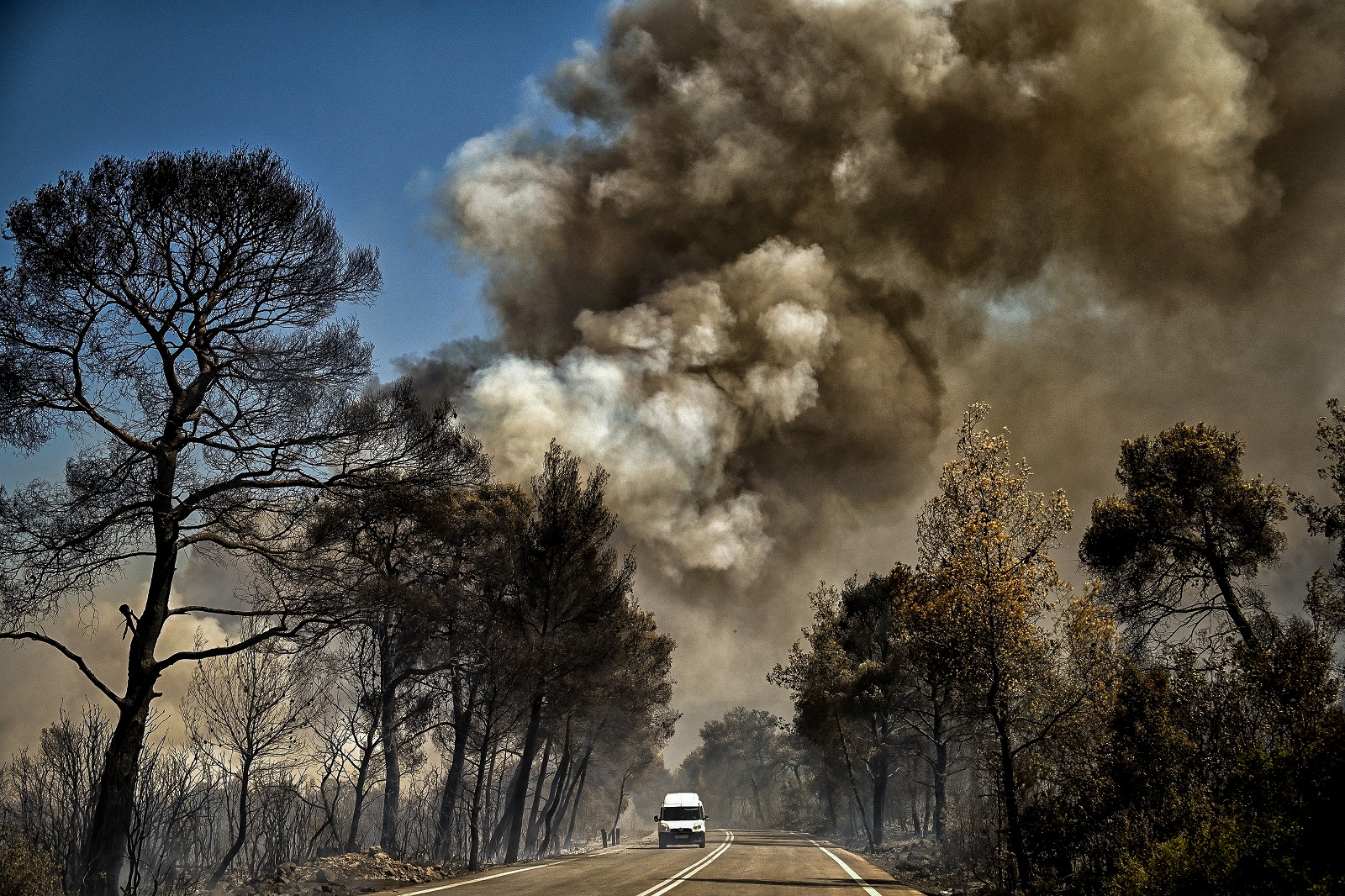 Πυρκαγιά σε δασική έκταση που ξεκίνησε από τον Αγιο Βλάσιο στο Σοφικό Κορινθίας, Τετάρτη 17 Ιουλίου 2024