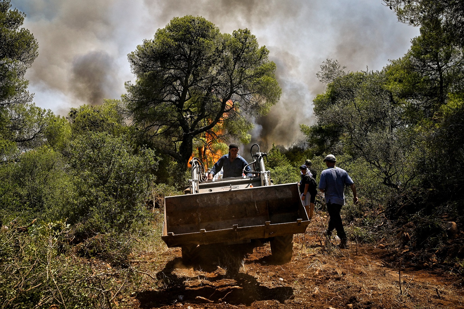 Πυρκαγιά σε δασική έκταση που ξεκίνησε από τον Αγιο Βλάσιο στο Σοφικό Κορινθίας, Τετάρτη 17 Ιουλίου 2024
