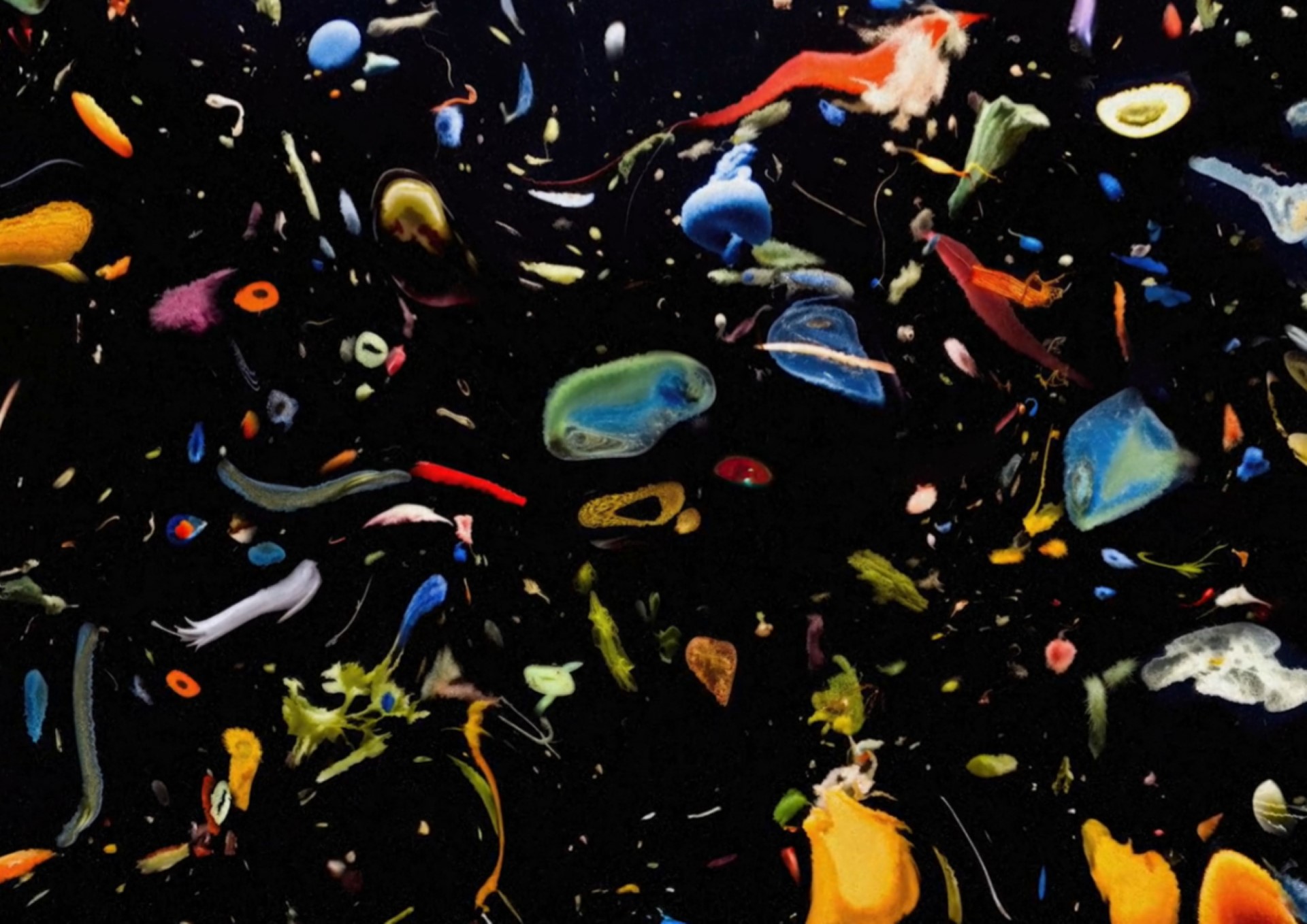 Symbiotic_Video Screenshot_02