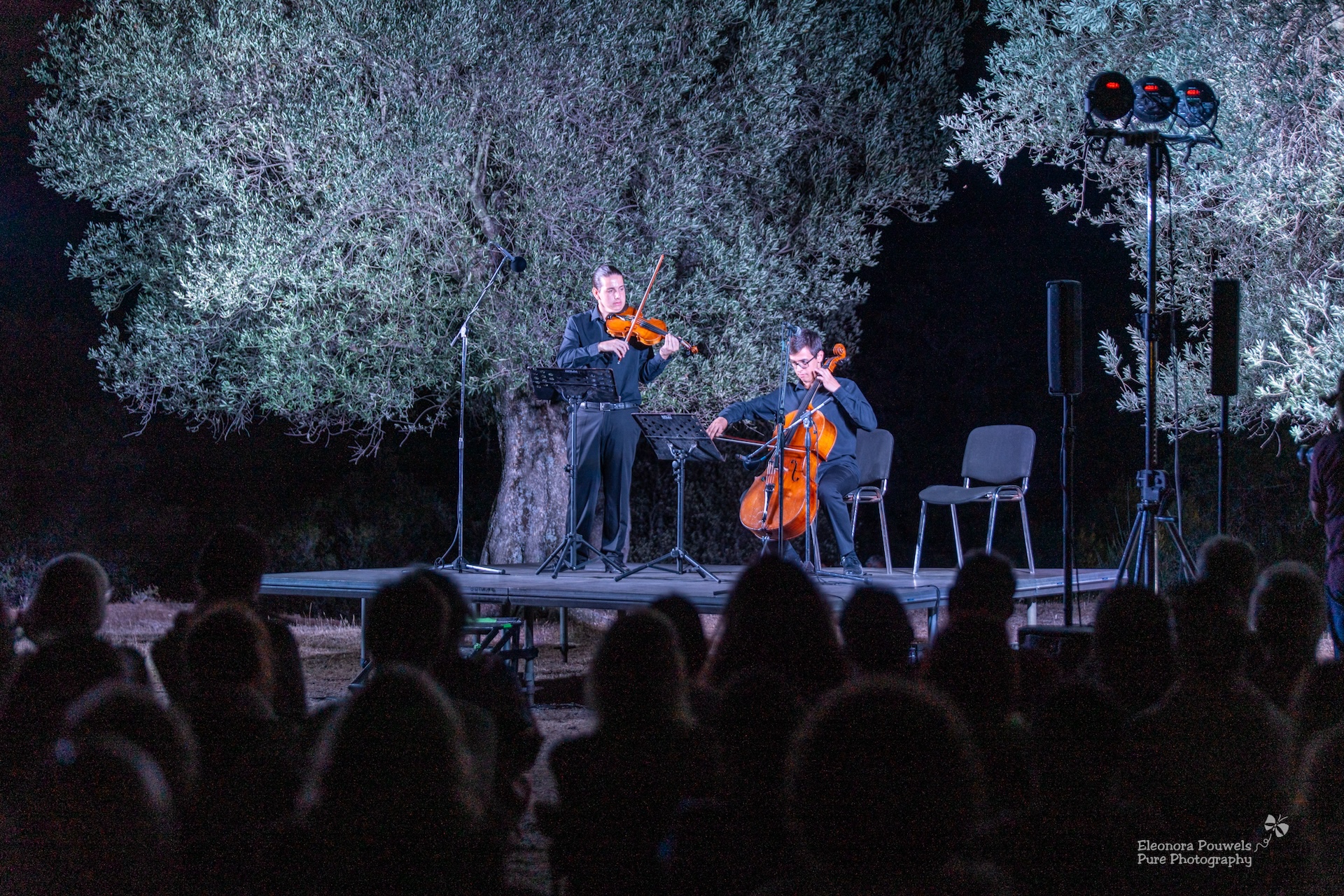 Διεθνές Φεστιβάλ Μουσικής Μολύβου