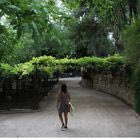 Εθνικός Κήπος, Δήμος Αθηναίων (φωτογραφία αρχείου)