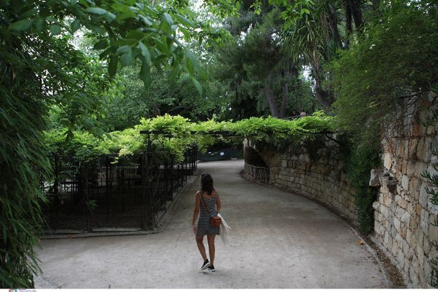 Εθνικός Κήπος, Δήμος Αθηναίων (φωτογραφία αρχείου)