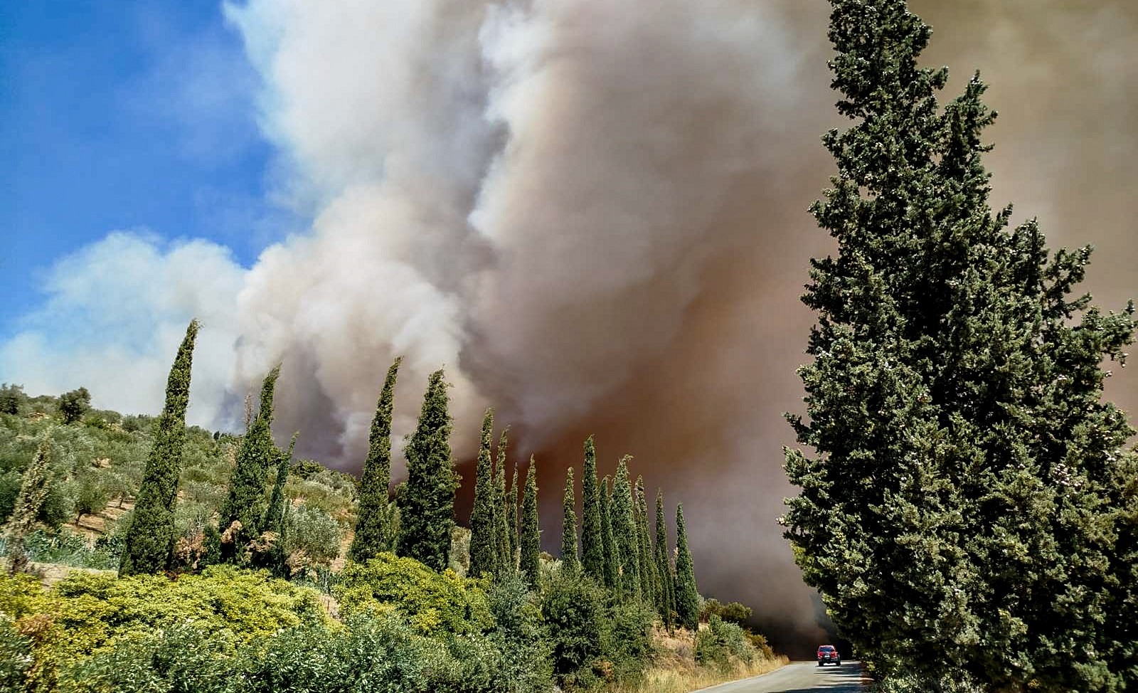 Μεγάλη φωτιά στην Εύβοια