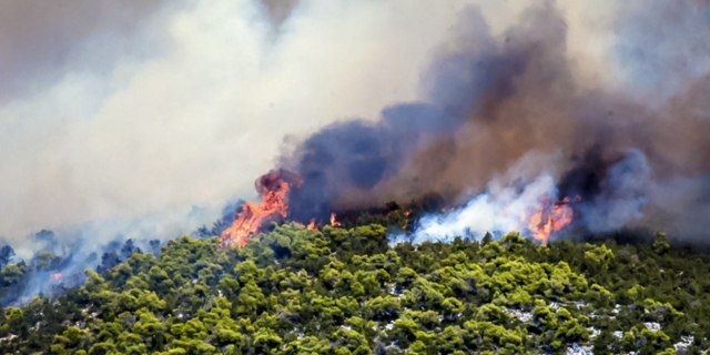Φωτιά σε δασική έκταση στον Λογγό Φθιώτιδας