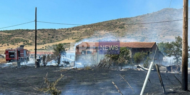 Φωτιά στο Βιομηχανικό Πάρκο Καστοριάς