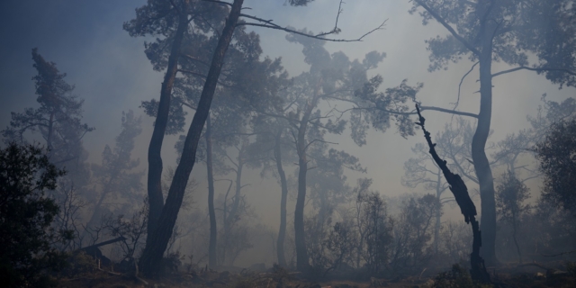 Υπό μερικό έλεγχο η φωτιά στην Τριάδα Σερρών
