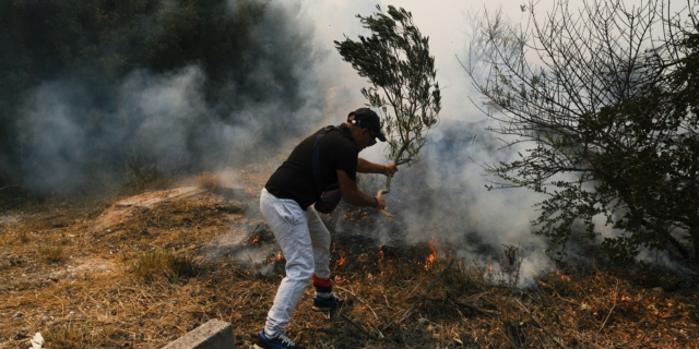 Πυρκαγιά στη Φυλή