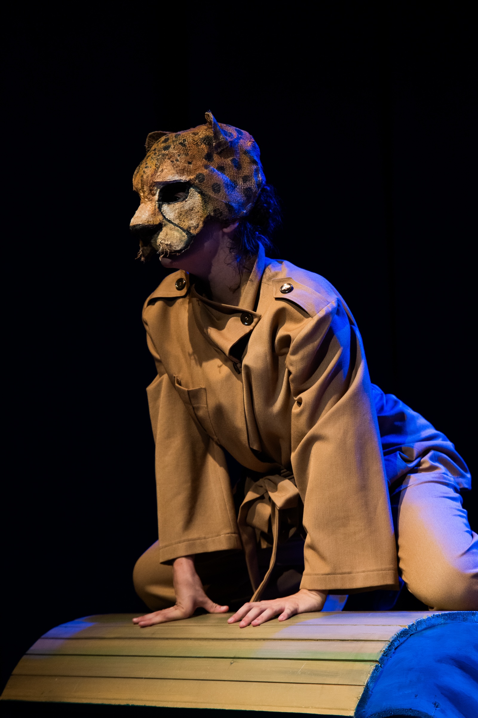 Το Καπλάνι της Βιτρίνας