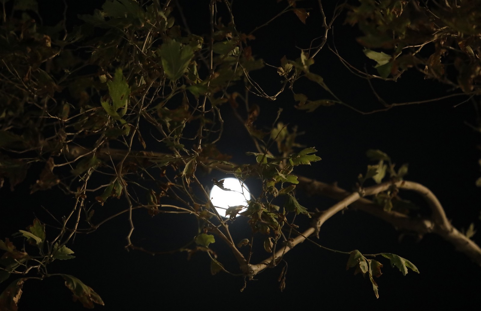 Η πανσέληνος από το ίδρυμα Σταύρος Νιάρχος