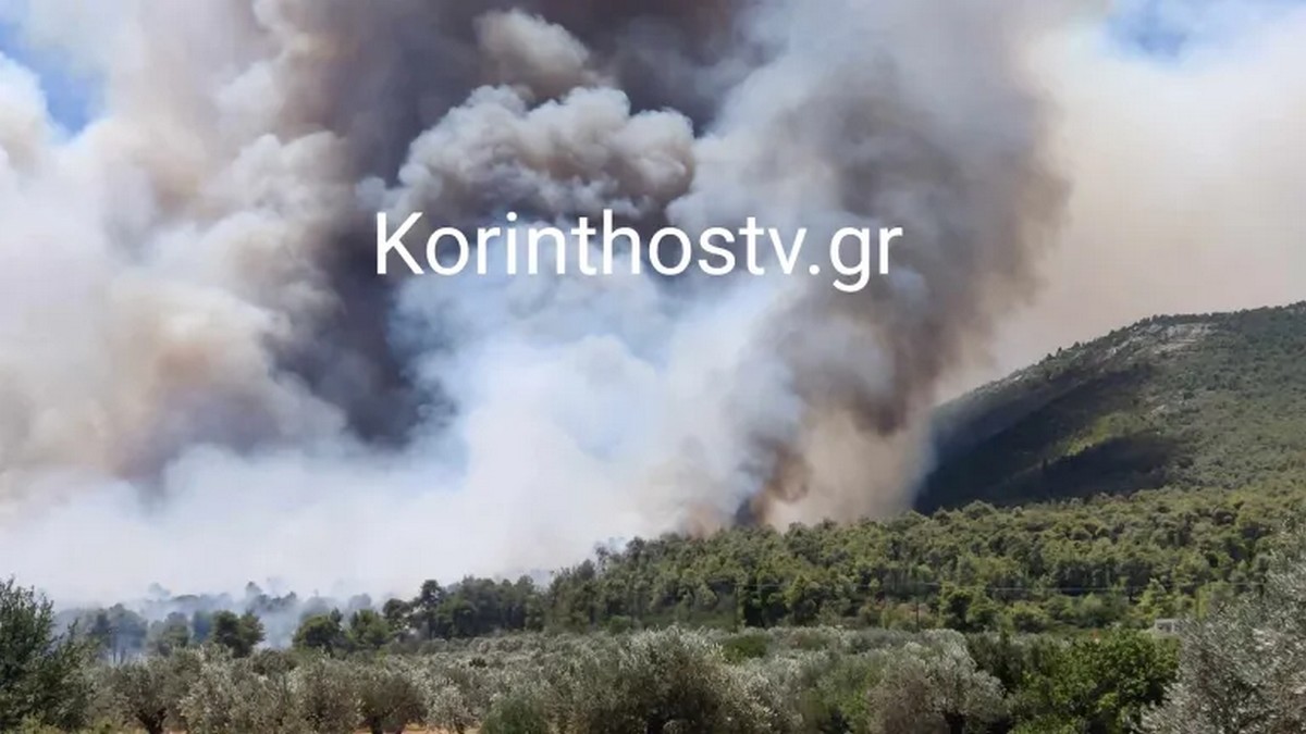 Φωτιά στο Σοφικό 