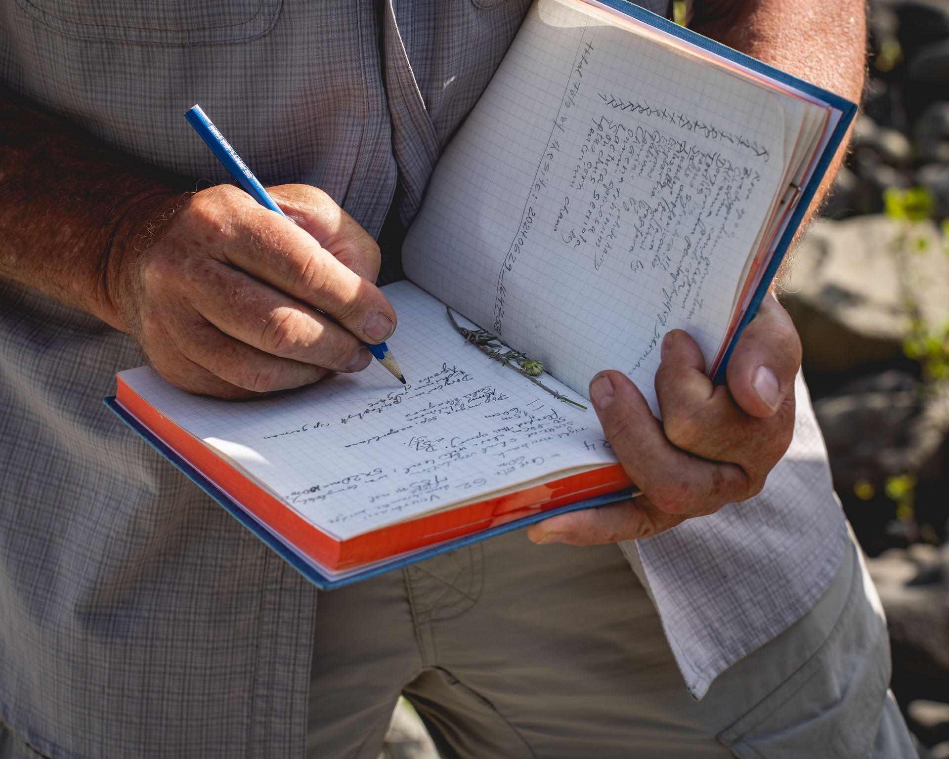 Sarantaporos Science Week 2024