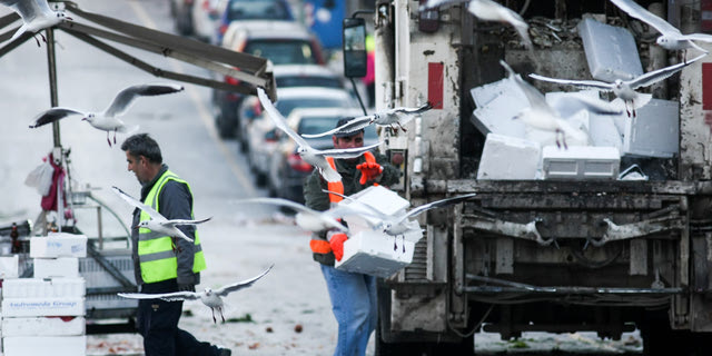 Δήμος Κασσάνδρας: Νεκρός 48χρονος εργαζόμενος της καθαριότητας – Τον παρέσυρε αυτοκίνητο