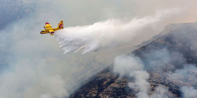 Λασίθι: Φωτιά σε χαμηλή βλάστηση – Μεγάλη κινητοποίηση της πυροσβεστικής