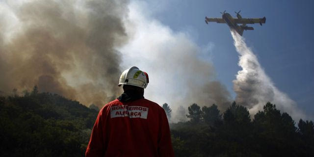 Μαδέρα: Μαίνεται η πυρκαγιά για 8η μέρα – Η ΕΕ στέλνει ενισχύσεις