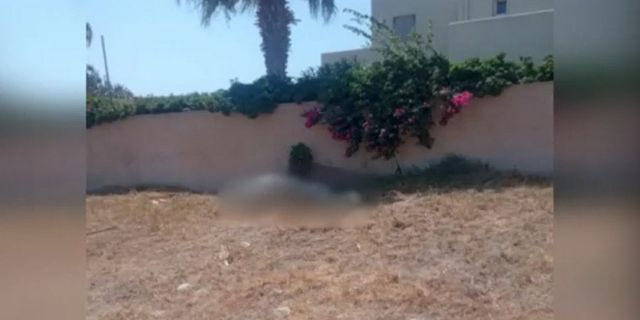 Σαντορίνη: Έδεσαν άλογο και το άφησαν να πεθάνει από δίψα