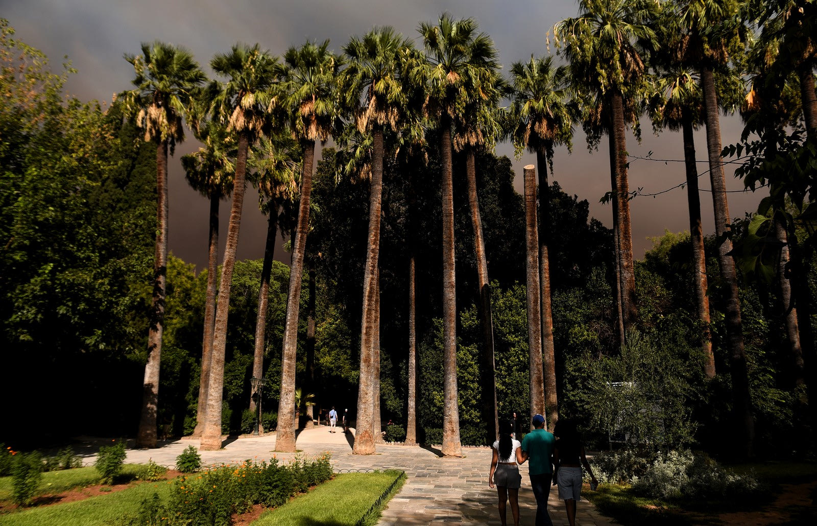 Πέπλο καπνού στον Εθνικό Κήπο