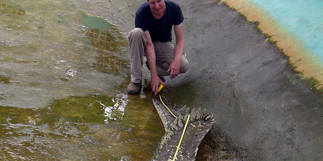 Αυστραλία: Ζωολόγος βίαζε, βασάνιζε και σκότωνε δεκάδες σκυλιά