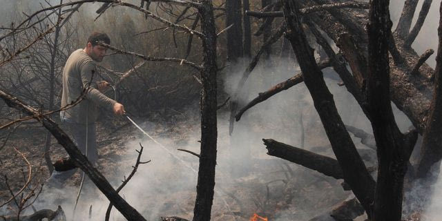 Φωτιά στη Λακωνία