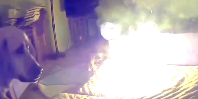 Σκύλος προκάλεσε φωτιά σε σπίτι επειδή μάσησε power bank – Βίντεο