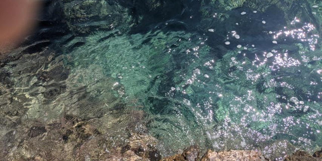 Το σημείο όπου εντοπίστηκε πνιγμένο και δεμένο το σκυλάκι στα Μέγαρα