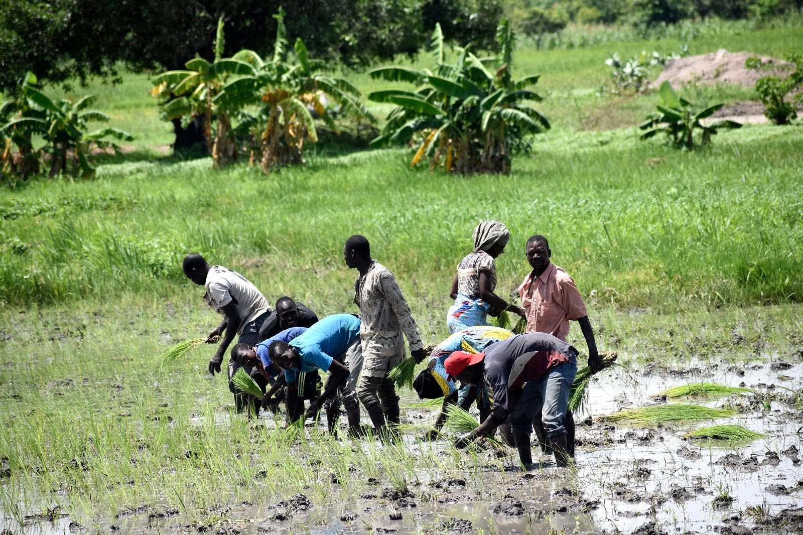 Πλημμύρες στην Αφρική