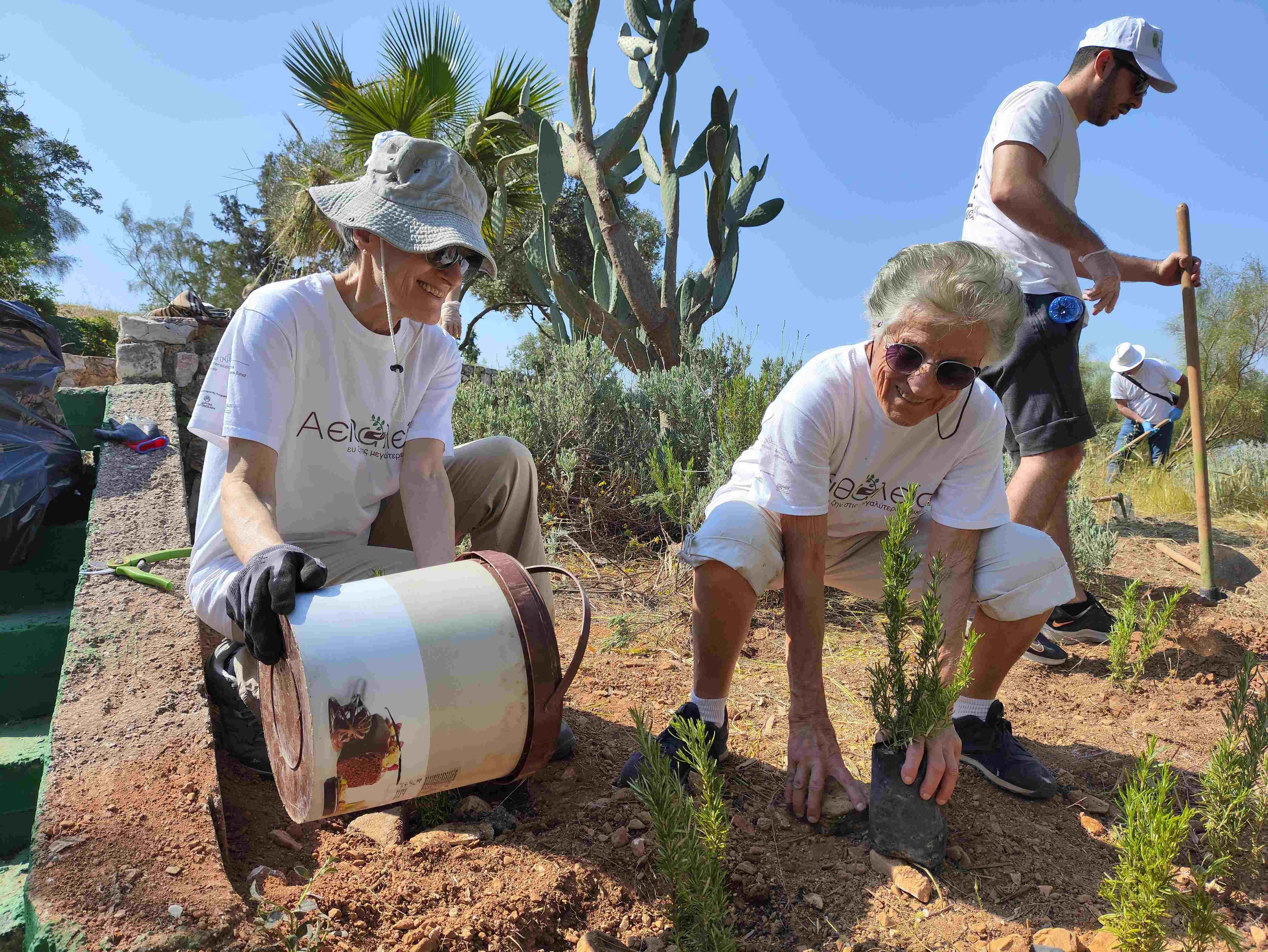 Εθελοντική δράση δενδροφύτευσης και φροντίδας του Άλσους Υμηττού στην Αργυρούπολη, στο πλαίσιο του έργου «Αειθαλεία», που υλοποιήθηκε από την ΕΛΙΞ με εταίρους το Πανεπιστήμιο Πατρών, την PROOPSIS Consulting S.A. και την OTEAcademy. Πρόκειται για ένα από τα 128 συνολικά έργα που υλοποιήθηκαν στο πλαίσιο του Active Citizens Fund Greece.