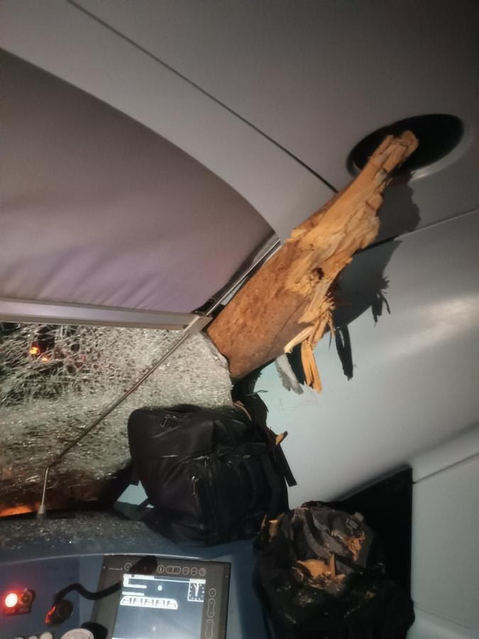 Δέντρο καρφώθηκε σε τρένο 