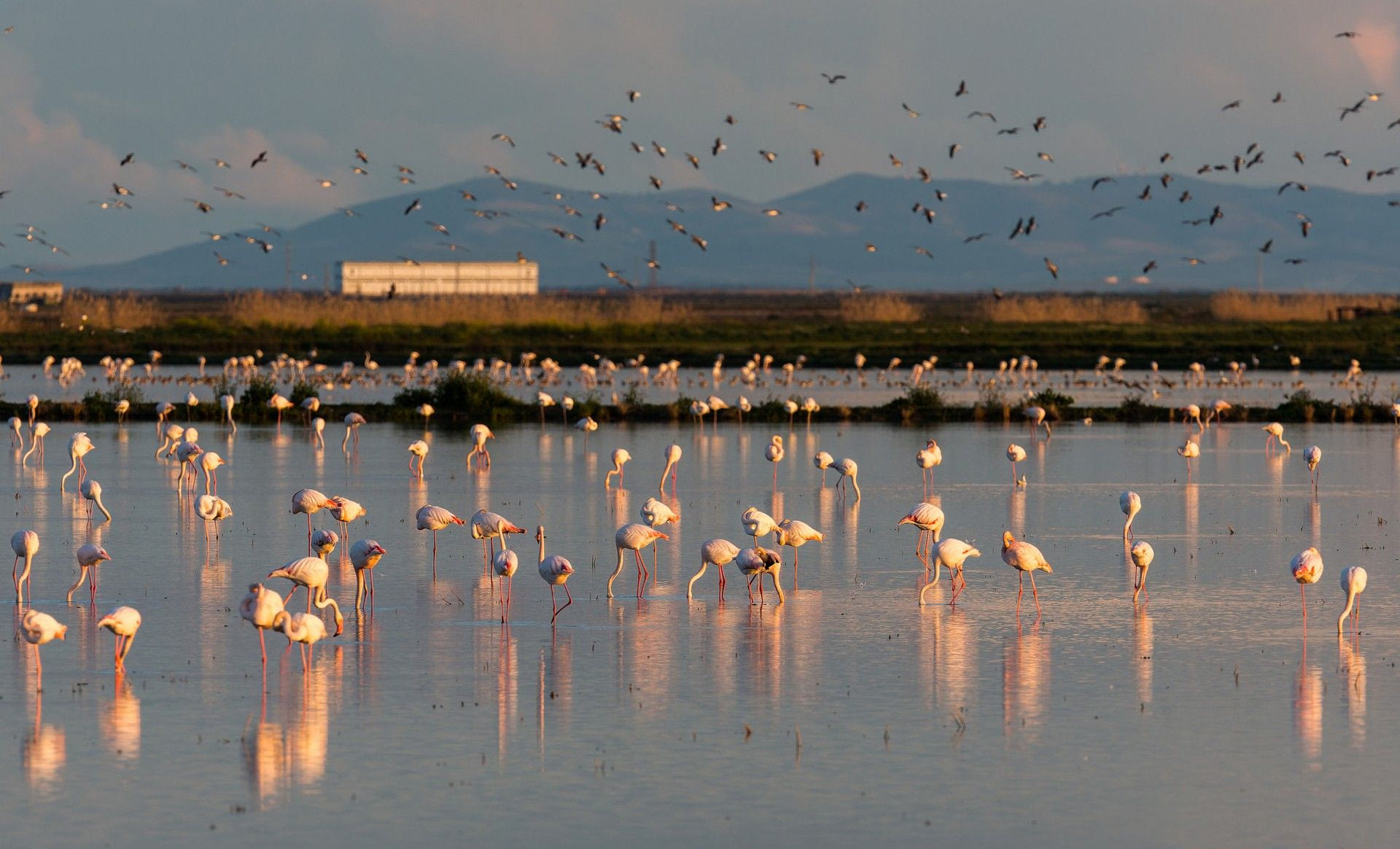 Εθνικό Πάρκο Doñana, Ισπανία