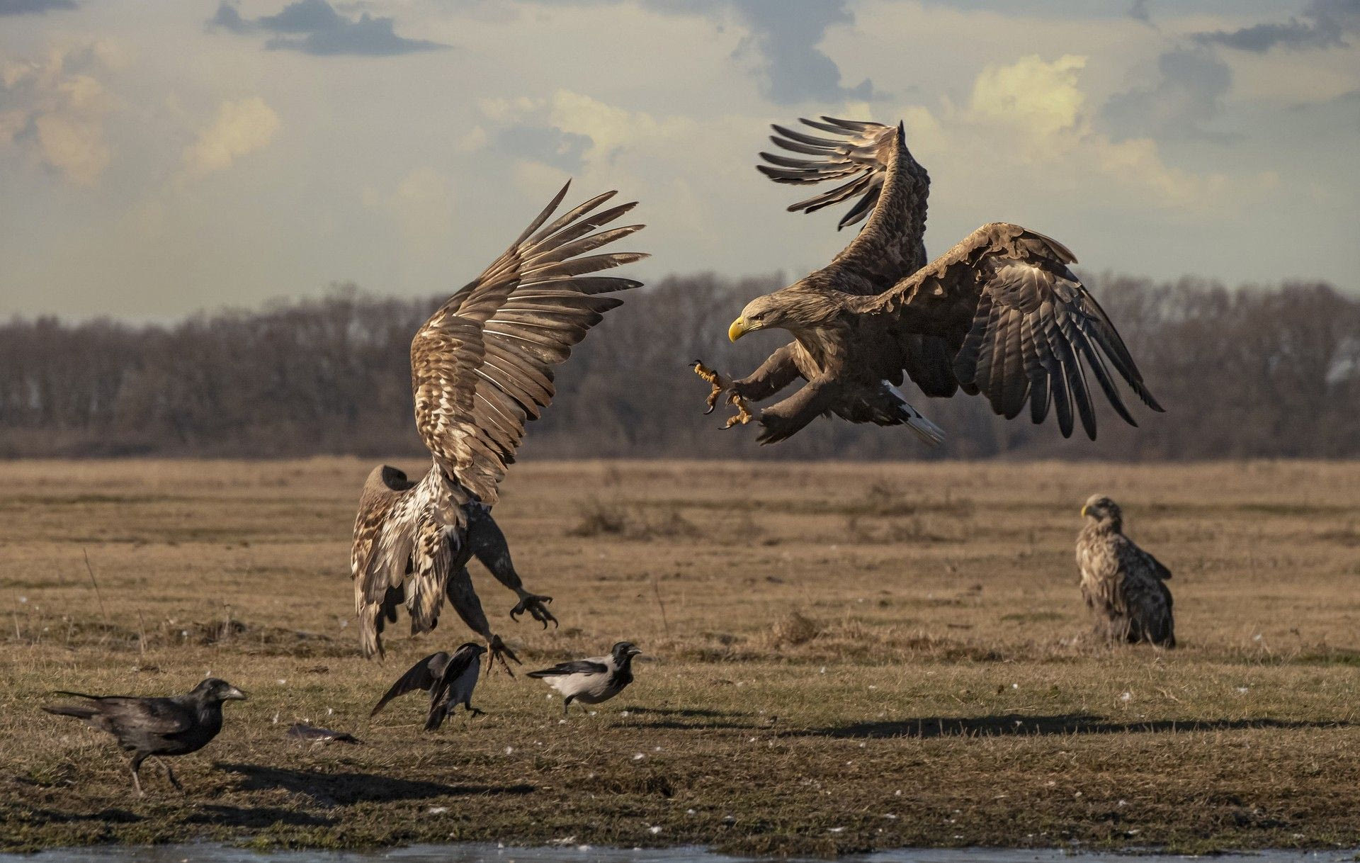 Hortobágy National Park, Hungary