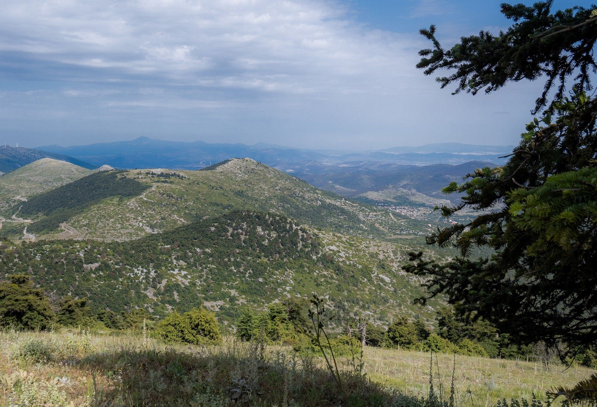 Κιθαιρώνας