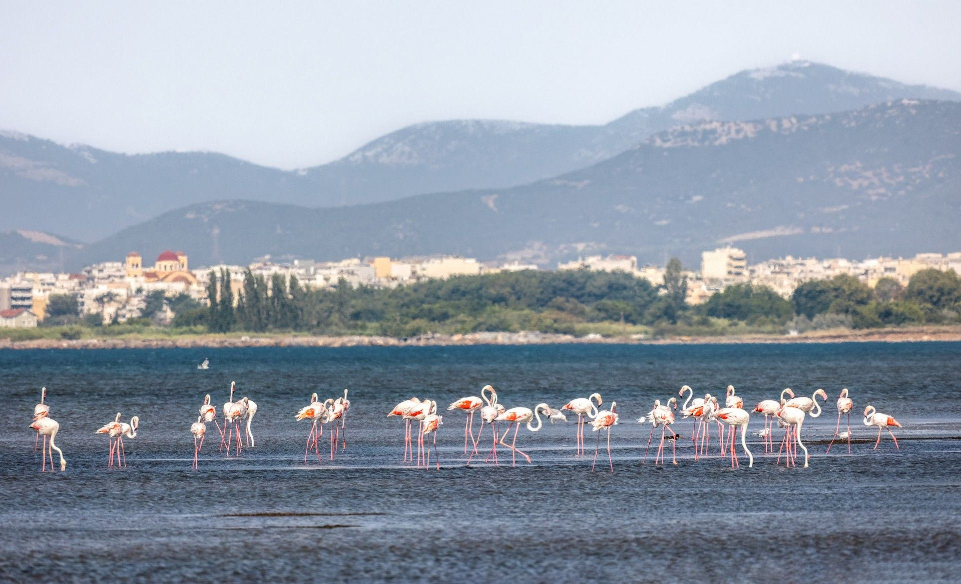 Δέλτα Έβρου, Ελλάδα