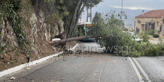 Χανιά: Κυκλοφοριακό κομφούζιο από πτώση δέντρου στην Ακρωτηρίου
